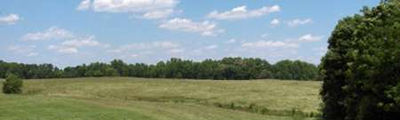 Deborah Rainey, Broker  (706) 678-5263