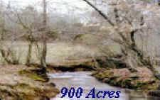 900 Acres